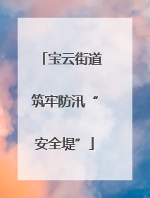 宝云街道筑牢防汛“安全堤”
