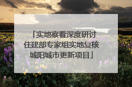 实地察看深度研讨 住建部专家组实地复核城阳城市更新项目