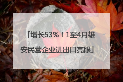 增长53%！1至4月雄安民营企业进出口亮眼
