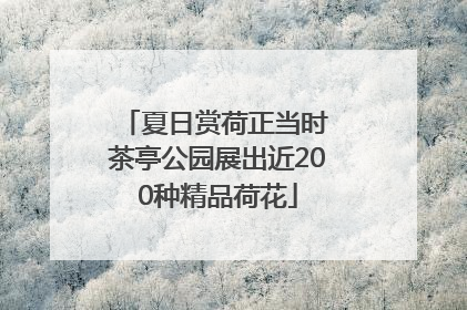 夏日赏荷正当时 茶亭公园展出近200种精品荷花