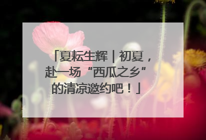 夏耘生辉｜初夏，赴一场“西瓜之乡”的清凉邀约吧！