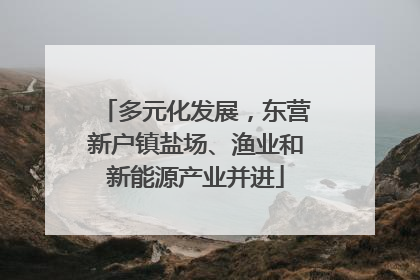 多元化发展，东营新户镇盐场、渔业和新能源产业并进