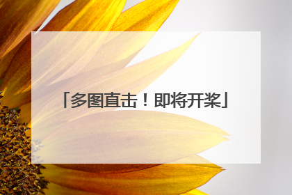 多图直击！即将开桨