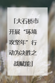 大石桥市开展“环境攻坚年”行动为决胜之战赋能