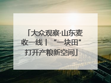 大众观察·山东麦收一线丨“一块田”打开产粮新空间