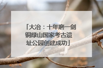 大冶：十年磨一剑 铜绿山国家考古遗址公园创建成功
