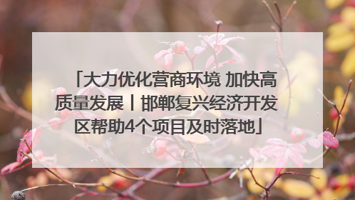大力优化营商环境 加快高质量发展丨邯郸复兴经济开发区帮助4个项目及时落地
