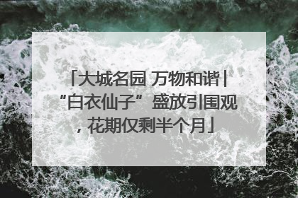 大城名园 万物和谐│“白衣仙子”盛放引围观，花期仅剩半个月