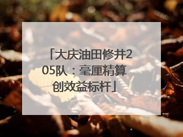 大庆油田修井205队：毫厘精算创效益标杆