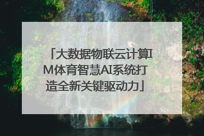 大数据物联云计算IM体育智慧AI系统打造全新关键驱动力