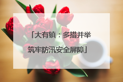 大有镇：多措并举筑牢防汛安全屏障