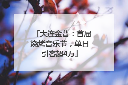 大连金普：首届烧烤音乐节，单日引客超4万
