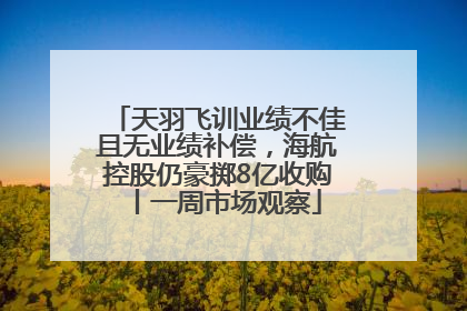 天羽飞训业绩不佳且无业绩补偿，海航控股仍豪掷8亿收购丨一周市场观察