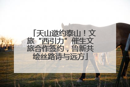 天山邀约泰山！文旅“西引力”催生文旅合作签约，鲁新共绘丝路诗与远方