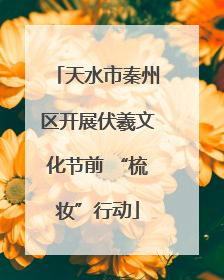 天水市秦州区开展伏羲文化节前 “梳妆”行动