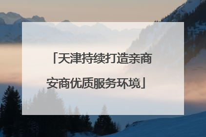 天津持续打造亲商安商优质服务环境