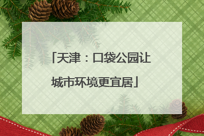 天津：口袋公园让城市环境更宜居