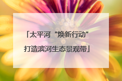 太平河“焕新行动” 打造滨河生态景观带