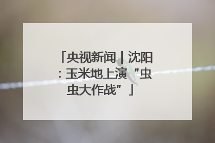 央视新闻｜沈阳：玉米地上演“虫虫大作战”