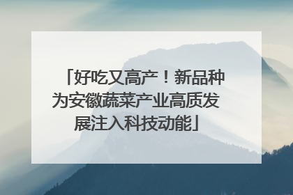好吃又高产！新品种为安徽蔬菜产业高质发展注入科技动能