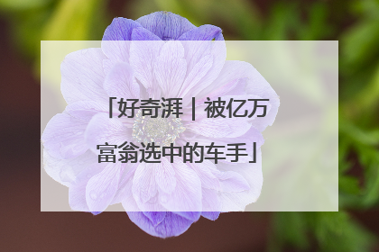 好奇湃｜被亿万富翁选中的车手