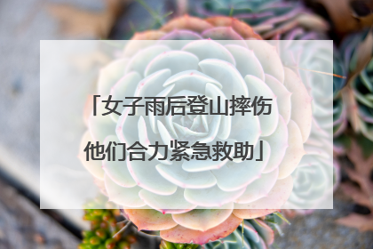女子雨后登山摔伤 他们合力紧急救助