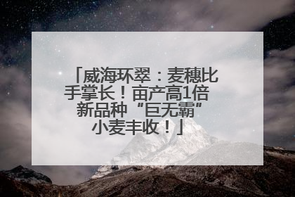 威海环翠：麦穗比手掌长！亩产高1倍 新品种“巨无霸”小麦丰收！