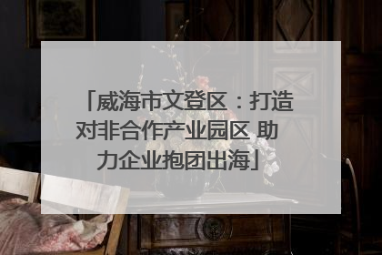 威海市文登区：打造对非合作产业园区 助力企业抱团出海