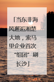 当东非海风邂逅湘楚大地，索马里企业首次“组团”刷长沙
