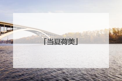 当夏荷美