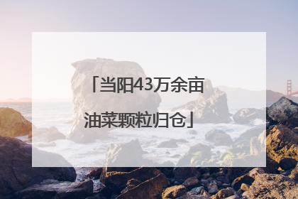 当阳43万余亩油菜颗粒归仓