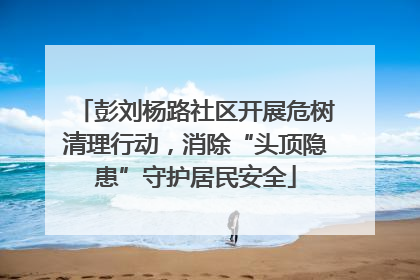 彭刘杨路社区开展危树清理行动，消除“头顶隐患”守护居民安全