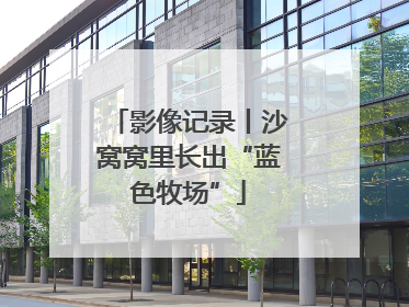 影像记录丨沙窝窝里长出“蓝色牧场”