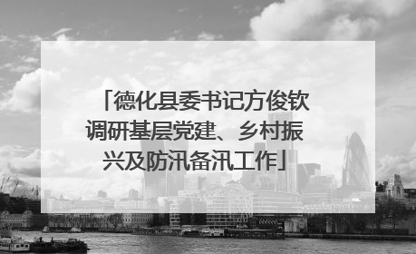 德化县委书记方俊钦调研基层党建、乡村振兴及防汛备汛工作