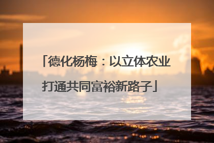 德化杨梅：以立体农业打通共同富裕新路子