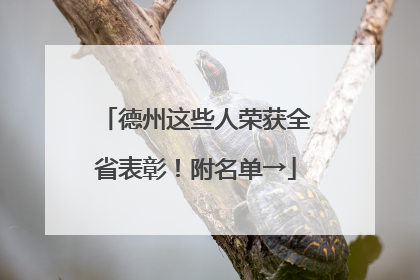 德州这些人荣获全省表彰！附名单→