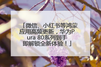 微信、小红书等鸿蒙应用高频更新，华为Pura 80系列到手即解锁全新体验！