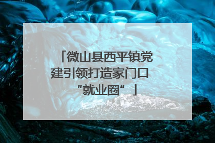 微山县西平镇党建引领打造家门口“就业圈”