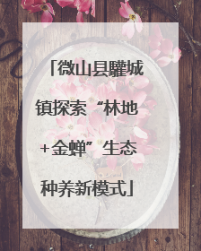 微山县驩城镇探索“林地+金蝉”生态种养新模式