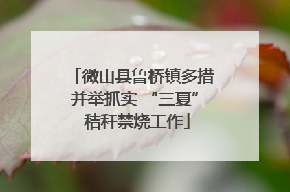 微山县鲁桥镇多措并举抓实 “三夏” 秸秆禁烧工作