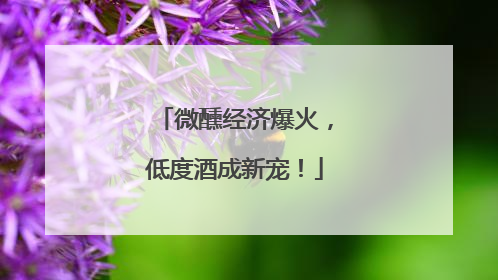 微醺经济爆火，低度酒成新宠！