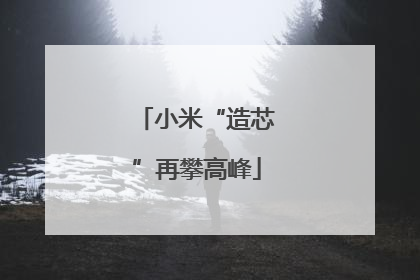 小米“造芯”再攀高峰