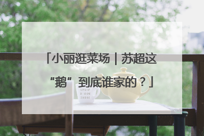 小丽逛菜场｜苏超这“鹅”到底谁家的？