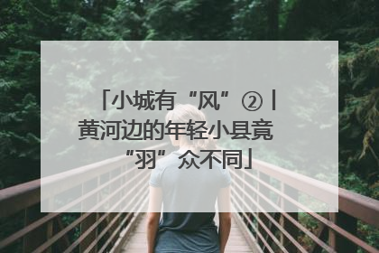 小城有“风”②丨黄河边的年轻小县竟“羽”众不同