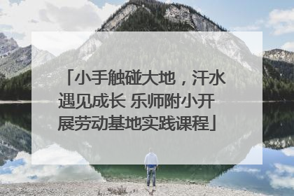 小手触碰大地，汗水遇见成长 乐师附小开展劳动基地实践课程