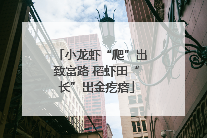小龙虾“爬”出致富路 稻虾田“长”出金疙瘩