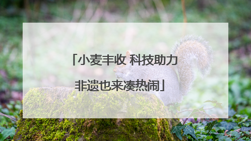 小麦丰收 科技助力 非遗也来凑热闹