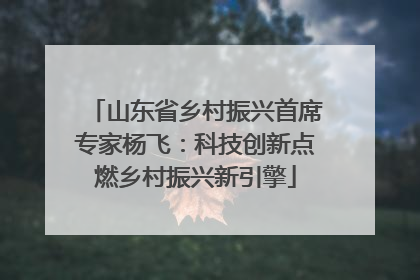 山东省乡村振兴首席专家杨飞：科技创新点燃乡村振兴新引擎