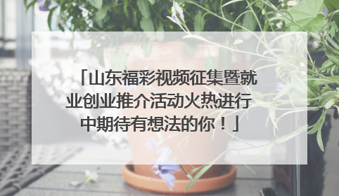 山东福彩视频征集暨就业创业推介活动火热进行中期待有想法的你！