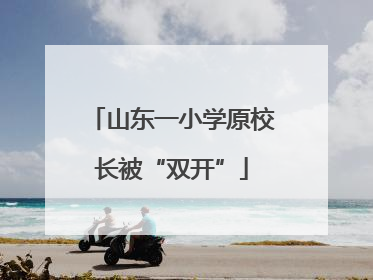 山东一小学原校长被“双开”